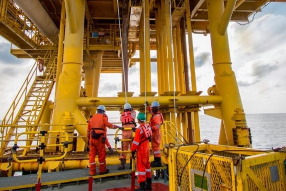 gallery marine (1) gallery marine (1)