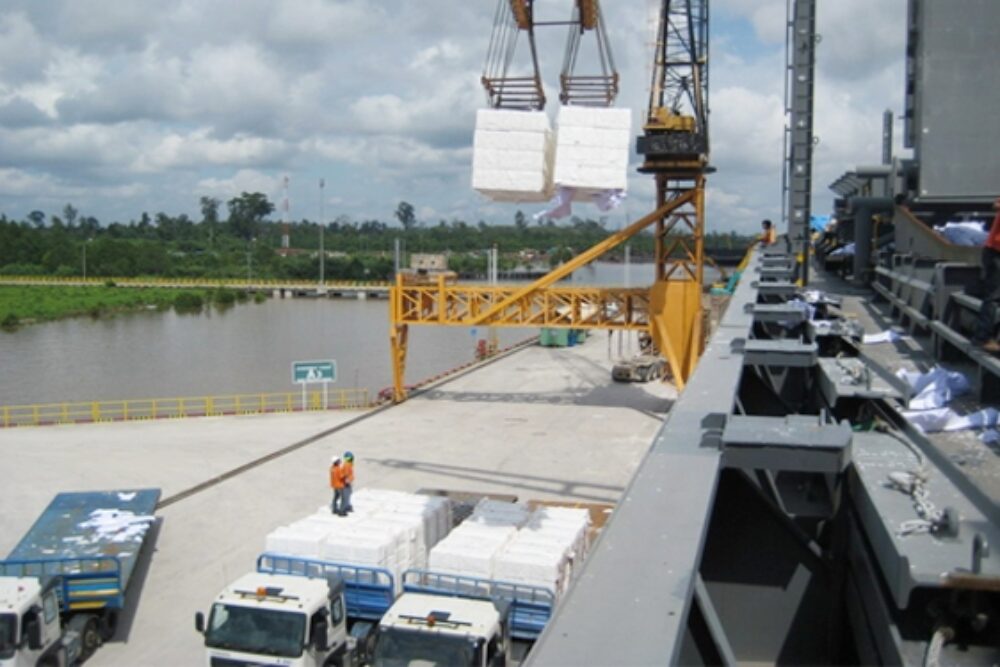 gallery marine (7) gallery marine (7)