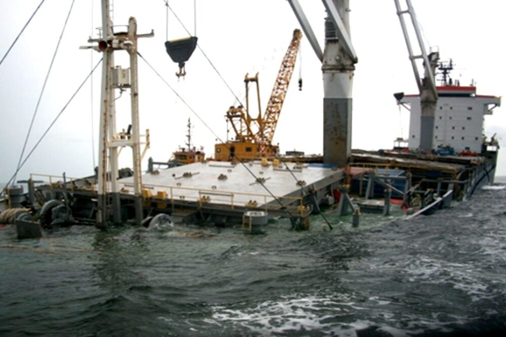 gallery marine (9) gallery marine (9)